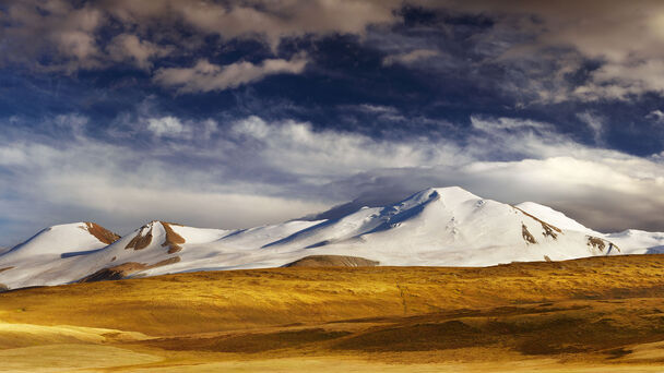 Steppenlandschaft mit schneebedeckten Bergen im Hintergrund