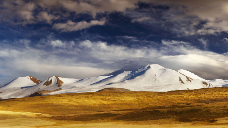 Steppenlandschaft mit schneebedeckten Bergen im Hintergrund.